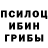 Псилоцибиновые грибы Cubensis itsASTRO _TV