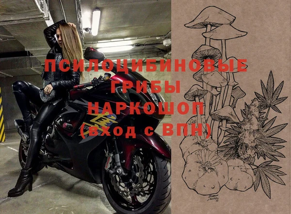 твердый Белокуриха